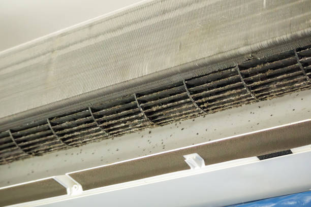 Best Affordable HVAC Duct Cleaning  in Eupora, MS