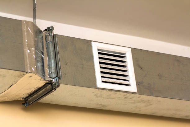 Best Professional Duct Cleaning Services  in Eupora, MS